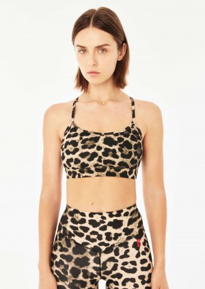 Animal Print P.E Nation Downforce Reform Sports Bra | HSOWERC-46